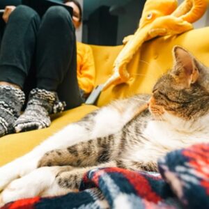 mindenki introvertalt 3