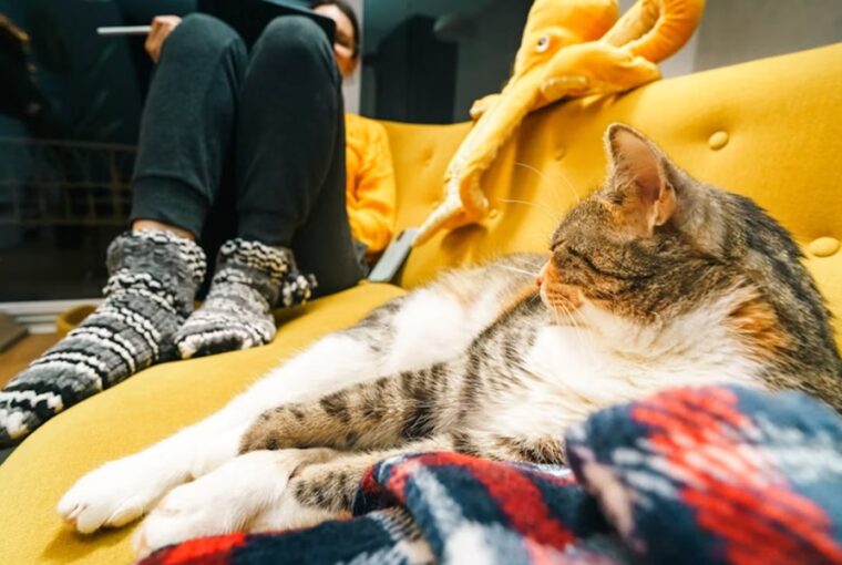 mindenki introvertalt 3