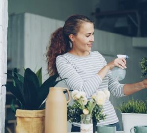 novenyek nem szeretik ha este locsolod