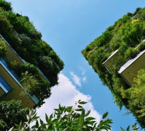 otthon visszatalal a termeszethez 2