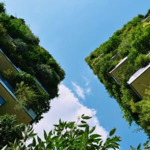 otthon visszatalal a termeszethez 2