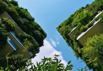 otthon visszatalal a termeszethez 2