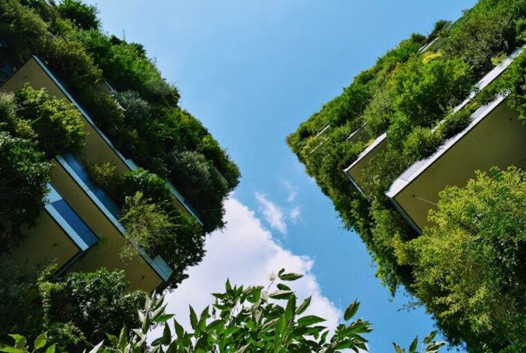 otthon visszatalal a termeszethez 2