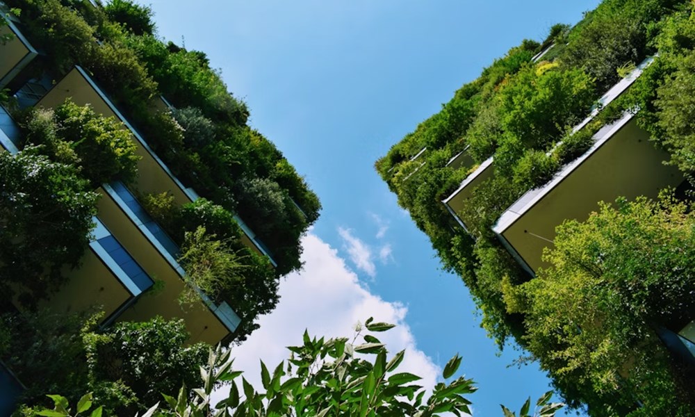 otthon visszatalal a termeszethez 2