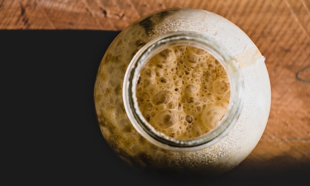 kovaszos kenyer tudomanyos boncolgatasa 1 kovaszos kenyer tudomanyos boncolgatasa 1