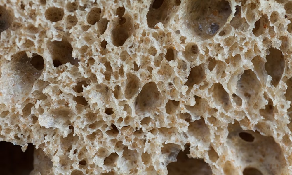 kovaszos kenyer tudomanyos boncolgatasa 2 kovaszos kenyer tudomanyos boncolgatasa 2