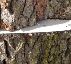 lancfuresszel a kertben