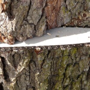 lancfuresszel a kertben