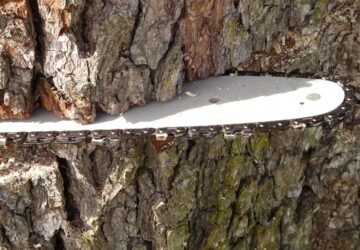 lancfuresszel a kertben