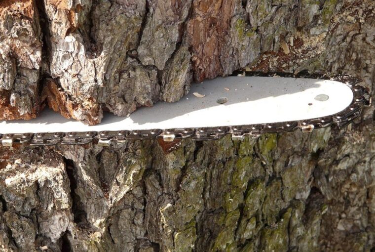 lancfuresszel a kertben