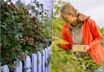 lehet hogy az adhd azert maradt fenn