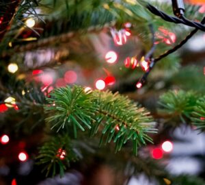 karacsonyi fenyfuzer ami direkt idegesit 2