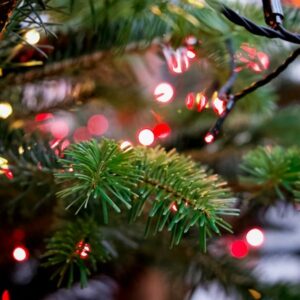 karacsonyi fenyfuzer ami direkt idegesit 2