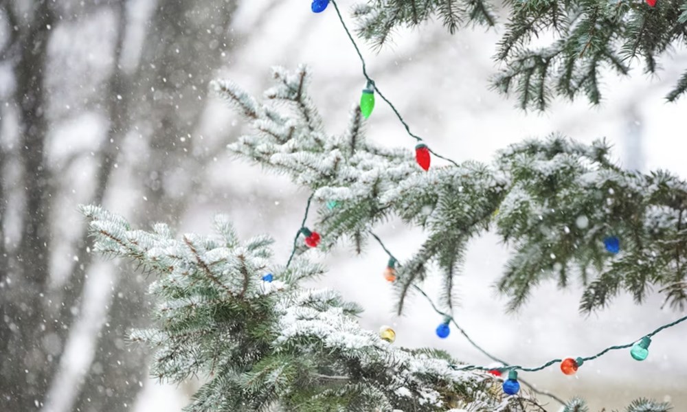 karacsonyi fenyfuzer ami direkt idegesit 4