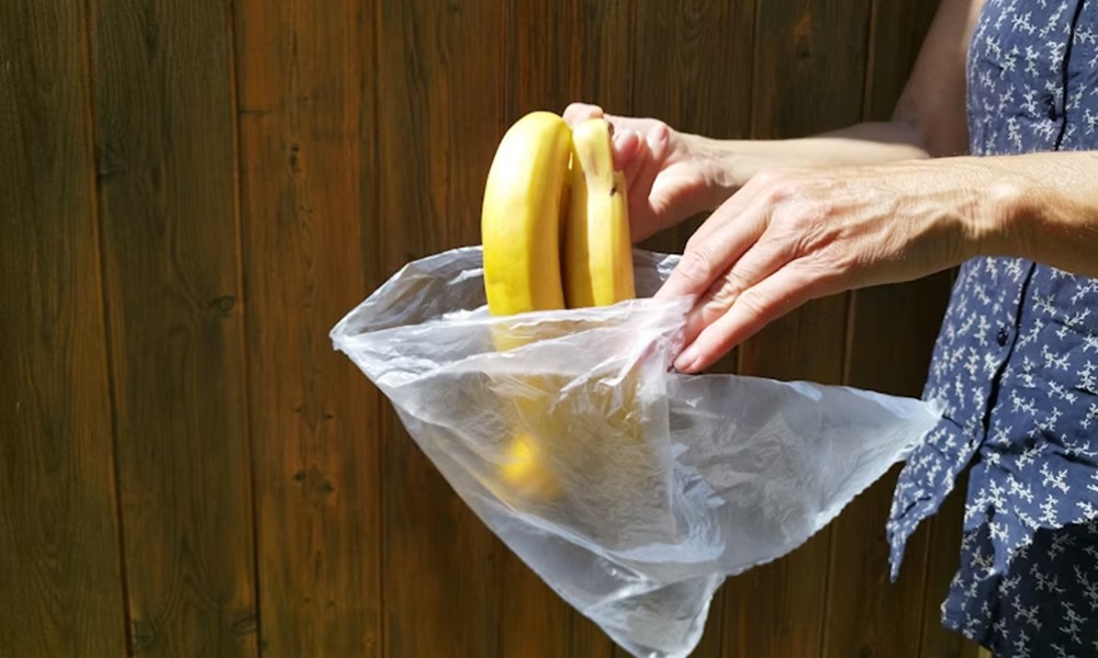 konyhapulton hevero banan is radioaktiv 1