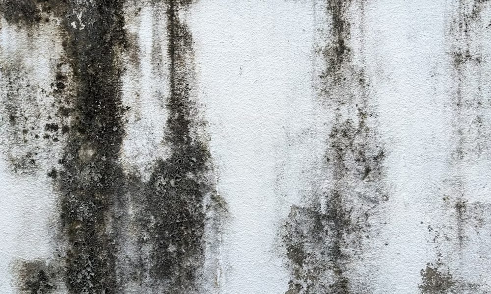 miert lett hirtelen minden lakasban peneszfolt ugyanott 1