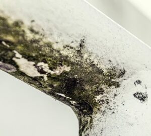 miert lett hirtelen minden lakasban peneszfolt ugyanott