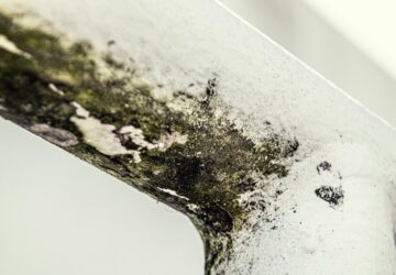 miert lett hirtelen minden lakasban peneszfolt ugyanott