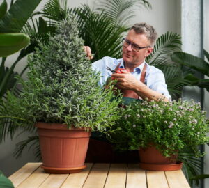 A növény a lakásban is visszajelez