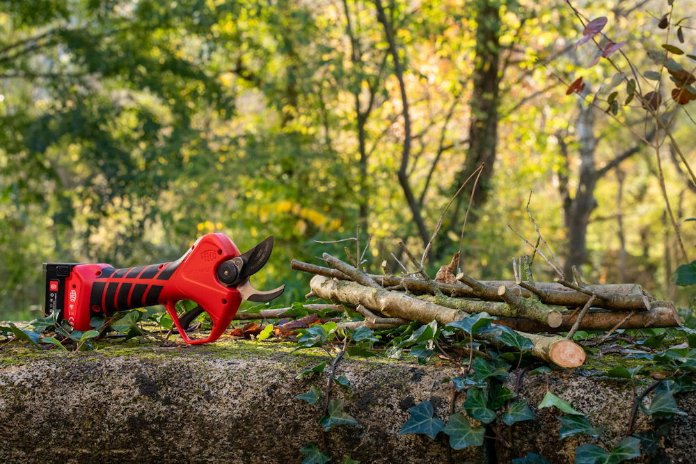 metszesi luxus csaladi kertben 02 Megérkezett a megfizethető akkus FELCO metszőolló