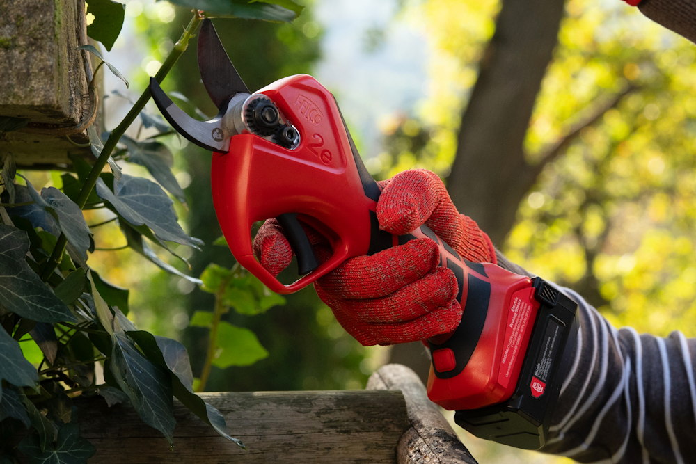 metszesi luxus csaladi kertben 06 Megérkezett a megfizethető akkus FELCO metszőolló