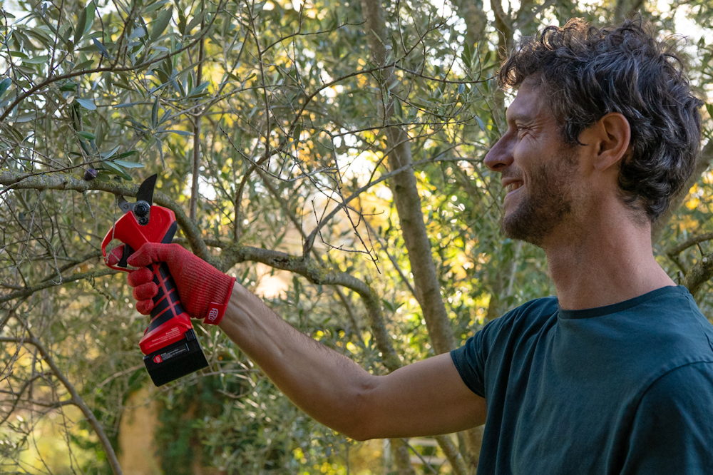 metszesi luxus csaladi kertben 07 Megérkezett a megfizethető akkus FELCO metszőolló