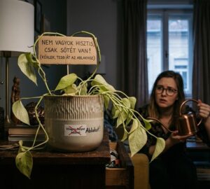 mennyi feny kell valojaban a szobanovenyeknek