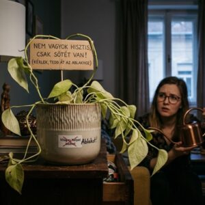 mennyi feny kell valojaban a szobanovenyeknek