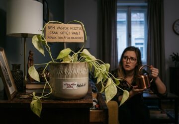 mennyi feny kell valojaban a szobanovenyeknek