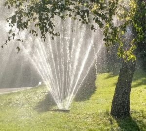 Miért locsoljuk még mindig az aszfaltot?