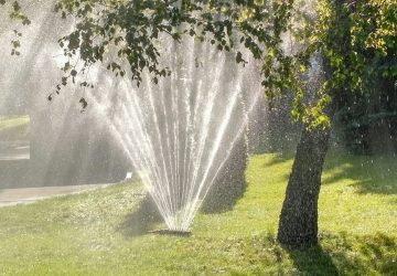 Miért locsoljuk még mindig az aszfaltot?