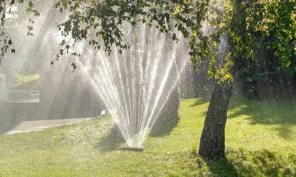 Miért locsoljuk még mindig az aszfaltot?